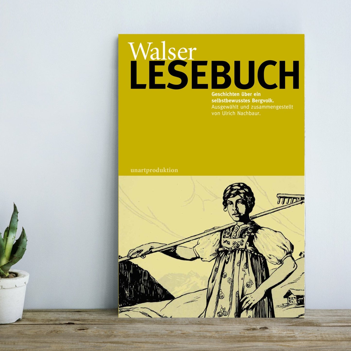 Walser Lesebuch