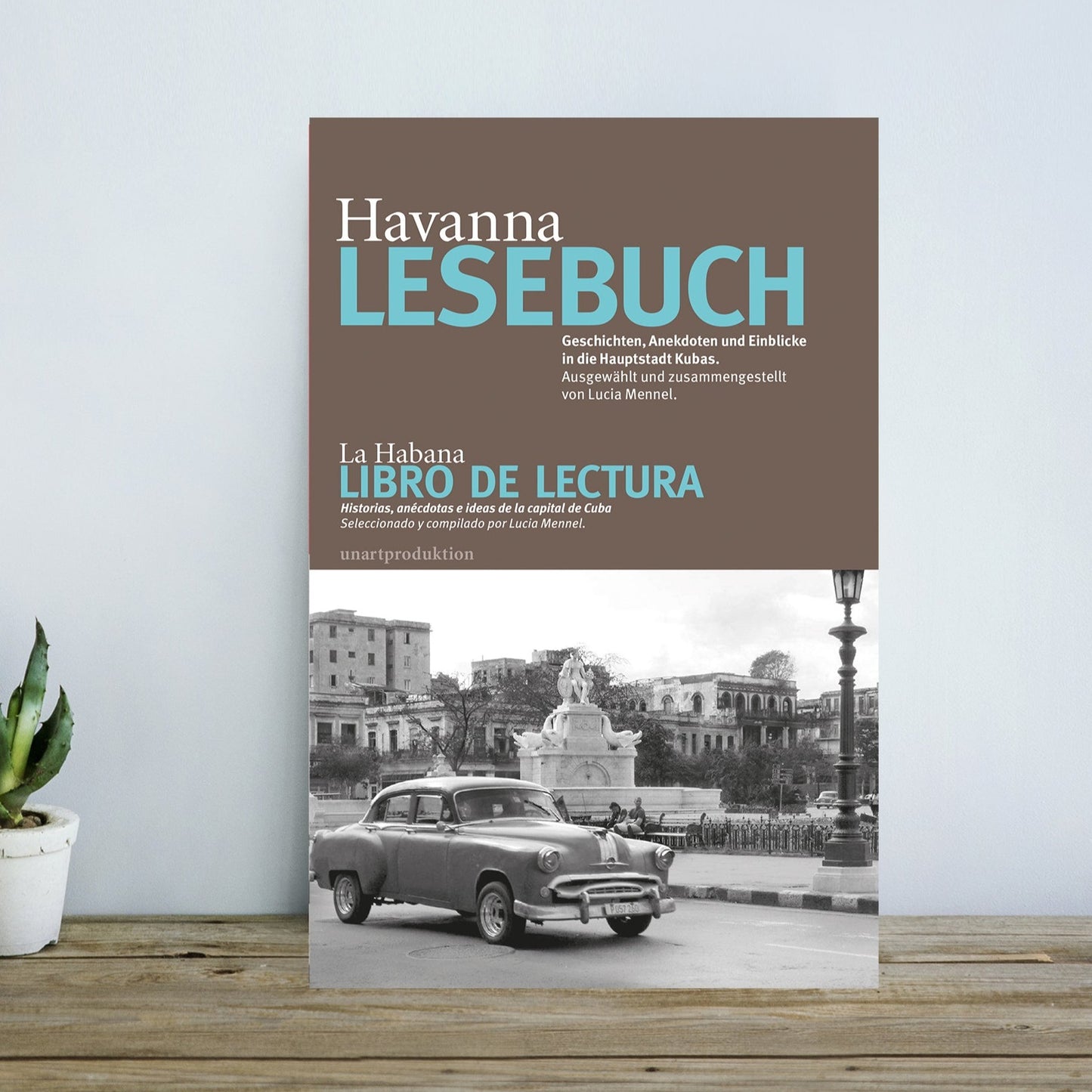 Havanna Lesebuch