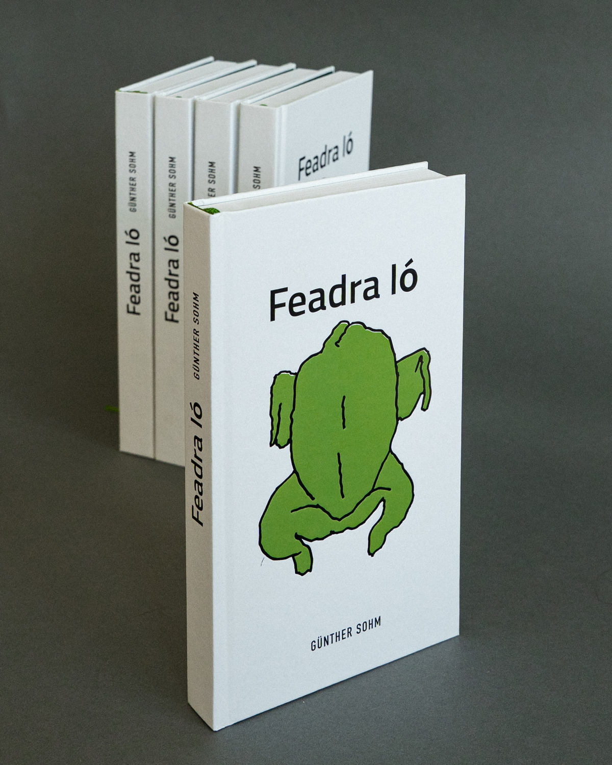 Feadra ló - Gedichtband von Günther Sohm
