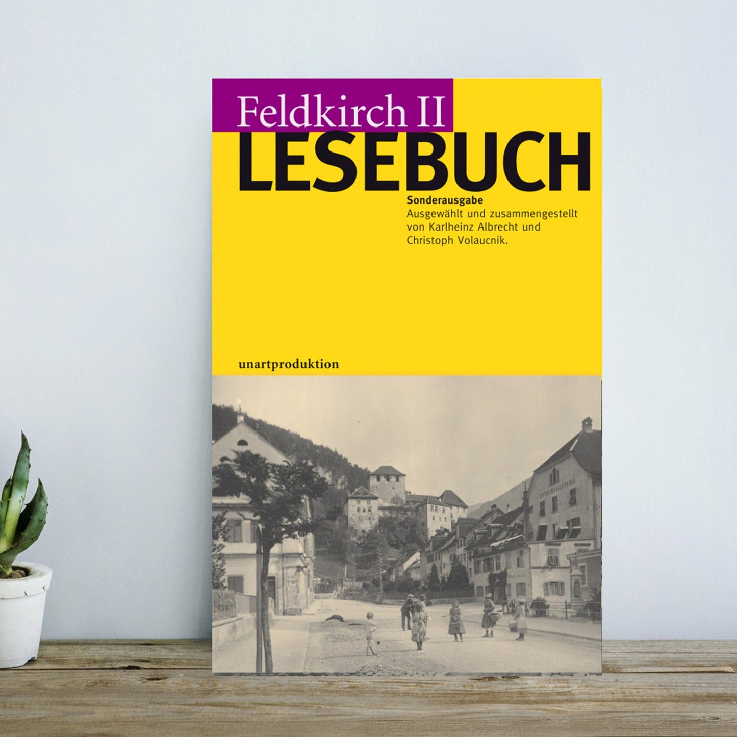 Feldkirch II Lesebuch